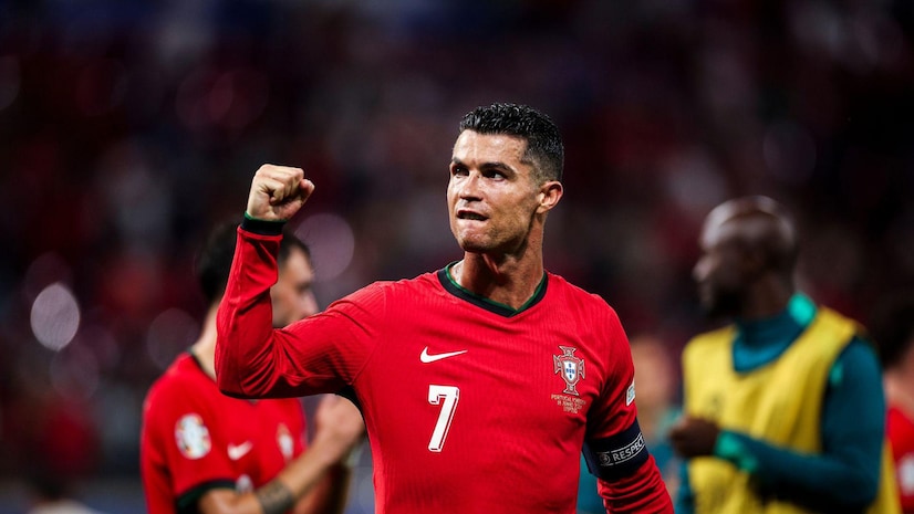 烈竞争的雏 烈竞争的雏